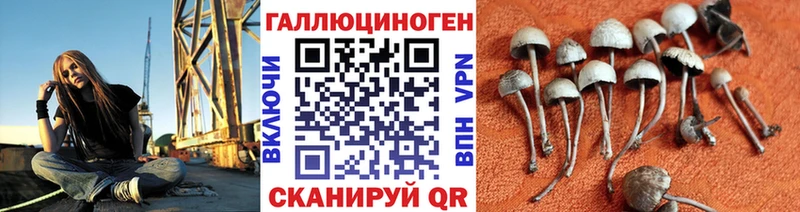 Псилоцибиновые грибы мицелий  как найти закладки  hydra ONION  Отрадная 
